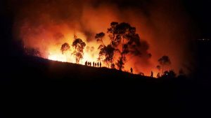 Incendios forestales en Ambato