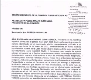 Guadalupe LLori presentó las pruebas de descargo ante la denuncia en su contra por incumplimiento de funciones.